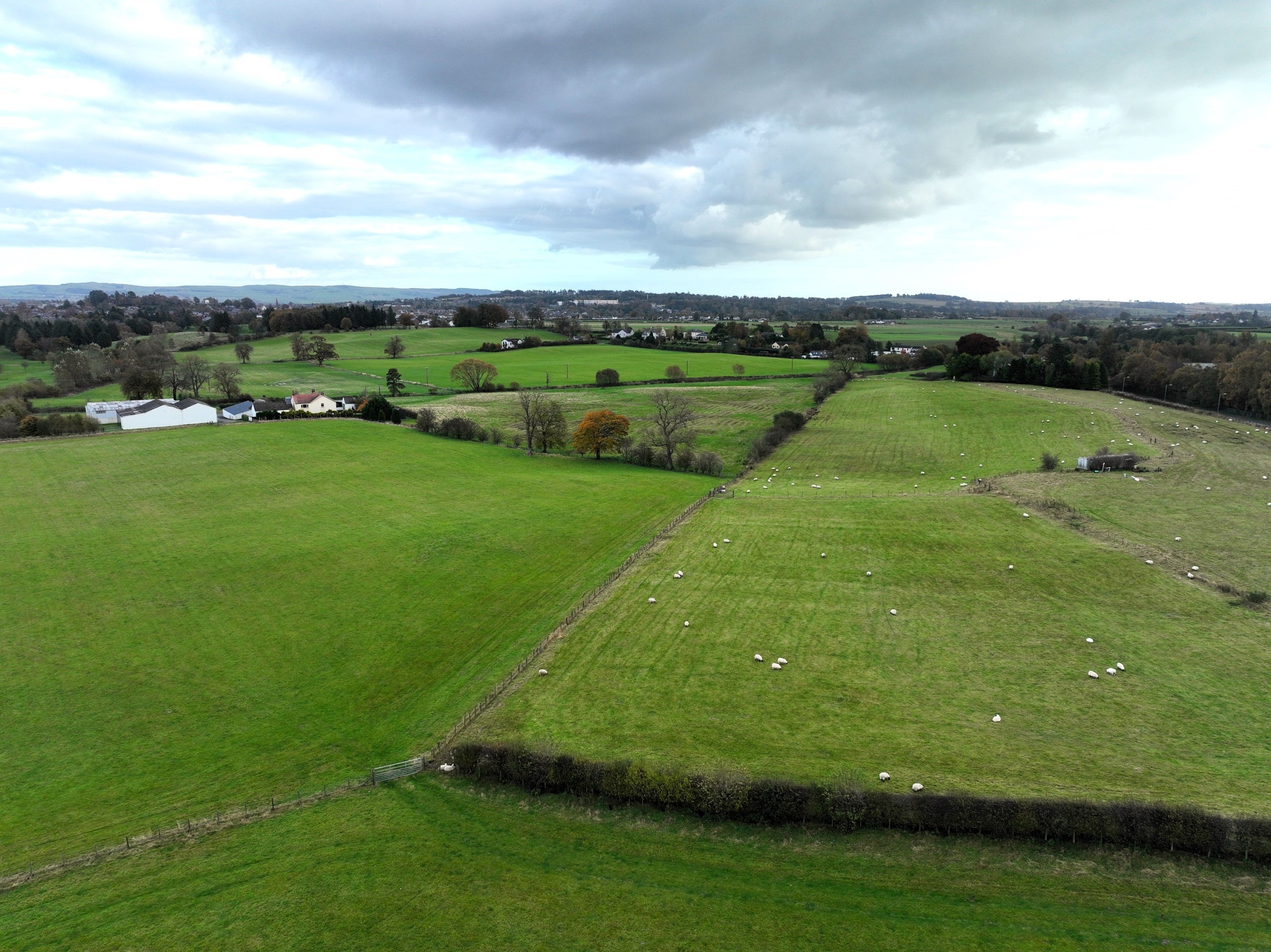 Starryheugh Farm