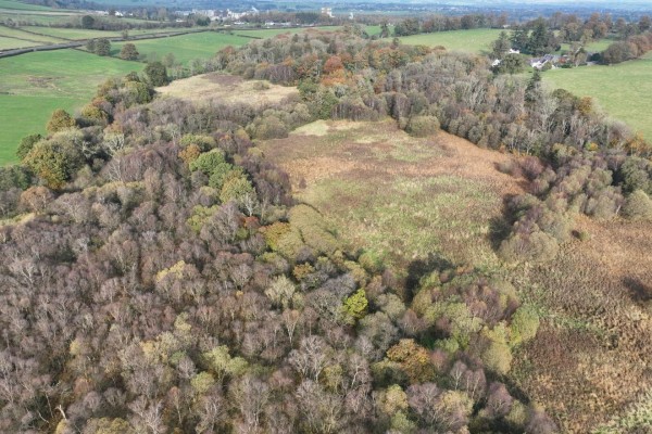 East Dalskairth Moss Wood